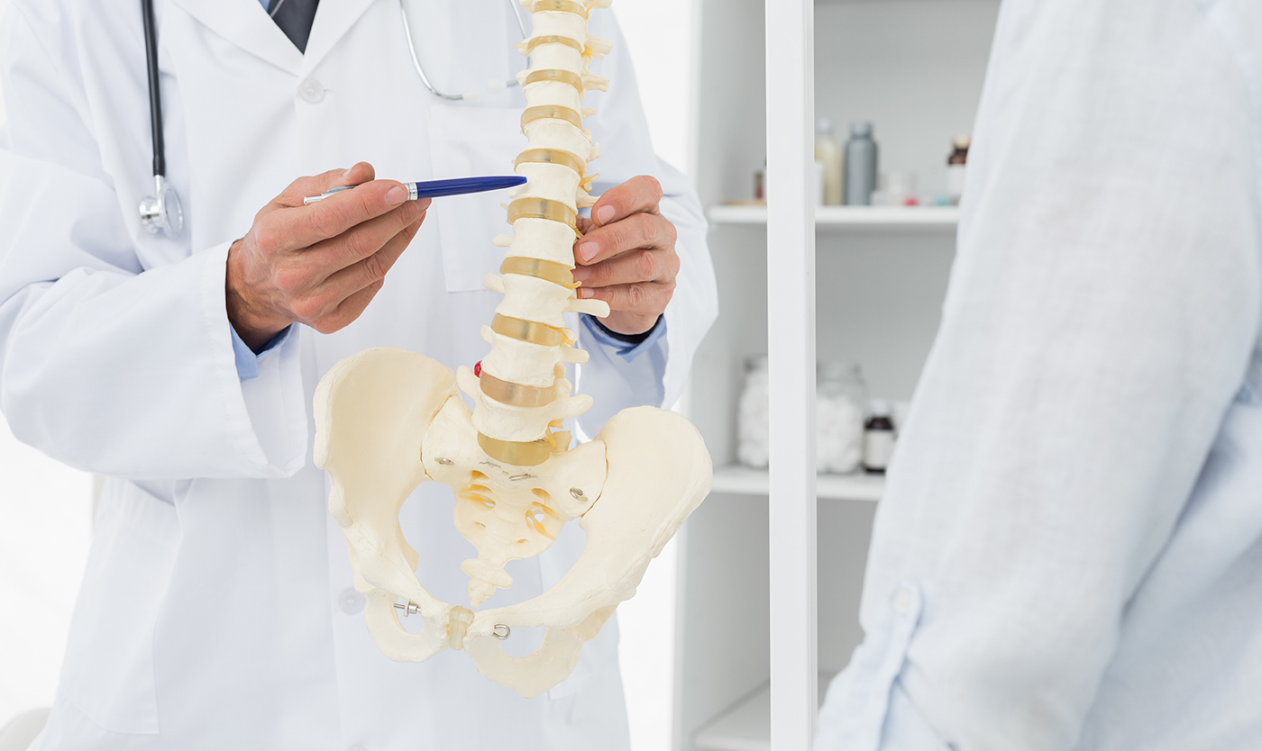 Chiropractor explaining the spine to a patient